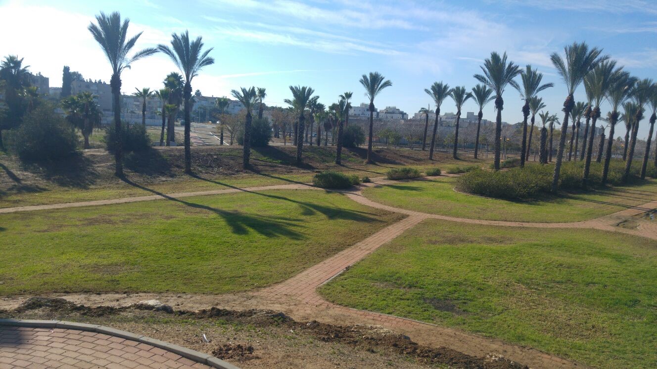 השטח עליו יוקם מרכז המורשת (צילום: קק''ל)